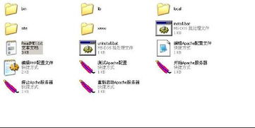 深度解析 如何使用Server110 PHP服務器軟件搭建應用服務——詳細操作指南
